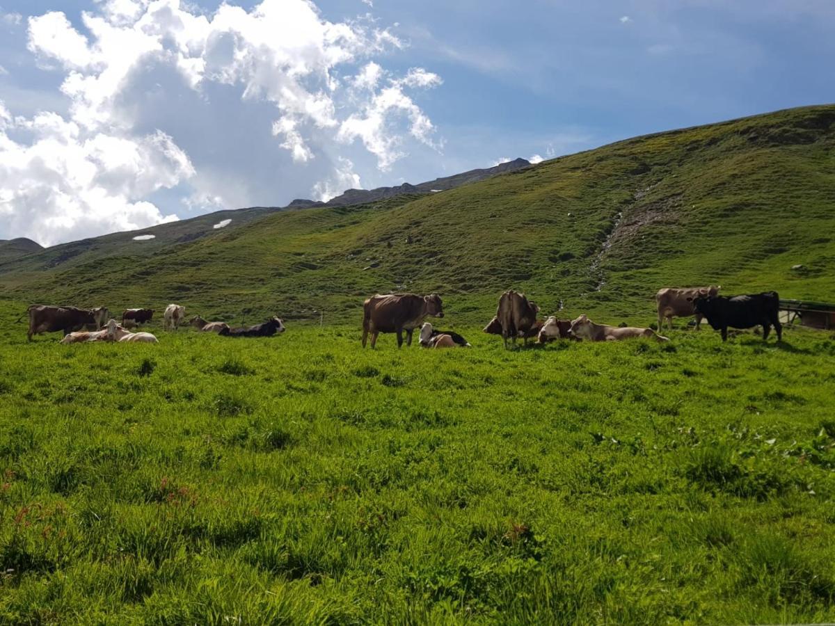 Willa Agriturismo Malga Dell'Alpe Valfurva Zewnętrze zdjęcie